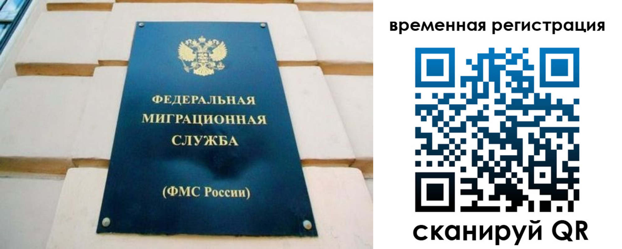 прописка гарантия в Шарыпово